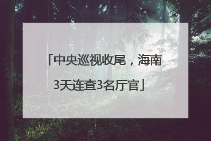 中央巡视收尾，海南3天连查3名厅官